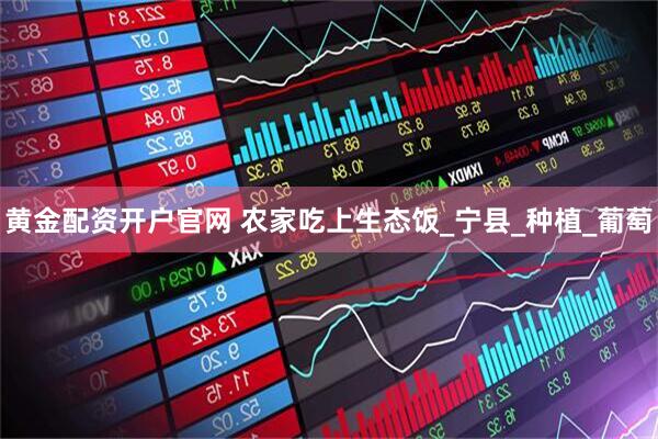 黄金配资开户官网 农家吃上生态饭_宁县_种植_葡萄