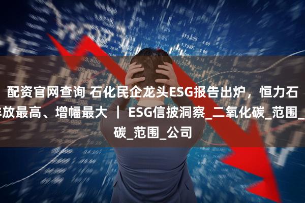 配资官网查询 石化民企龙头ESG报告出炉，恒力石化排放最高、增幅最大 ｜ ESG信披洞察_二氧化碳_范围_公司